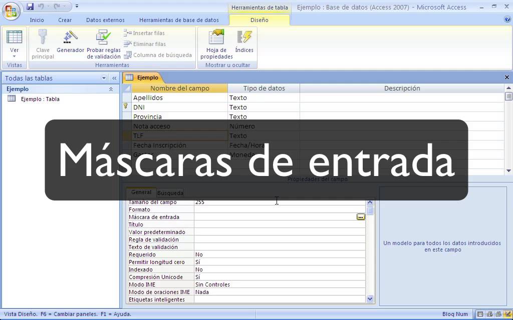 Access  Propiedades de campos