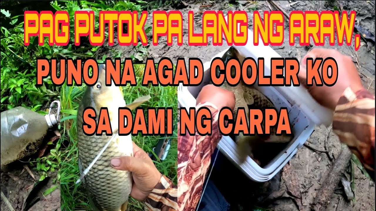 P1 JACKPOT SA DAMI NG CARPA KAHIT MADILIM PA PUMUPUTOK NA /Airgun Fishing /Fiahgunerong Madiskarte