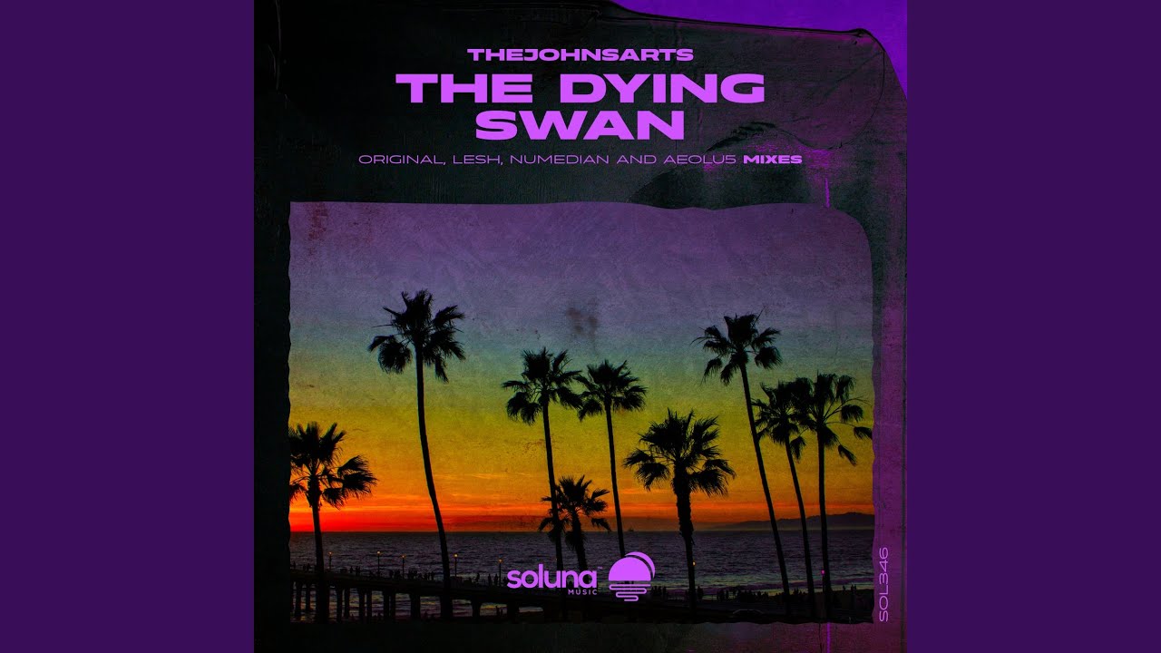 The Dying Swan (Aeolu5 Remix)