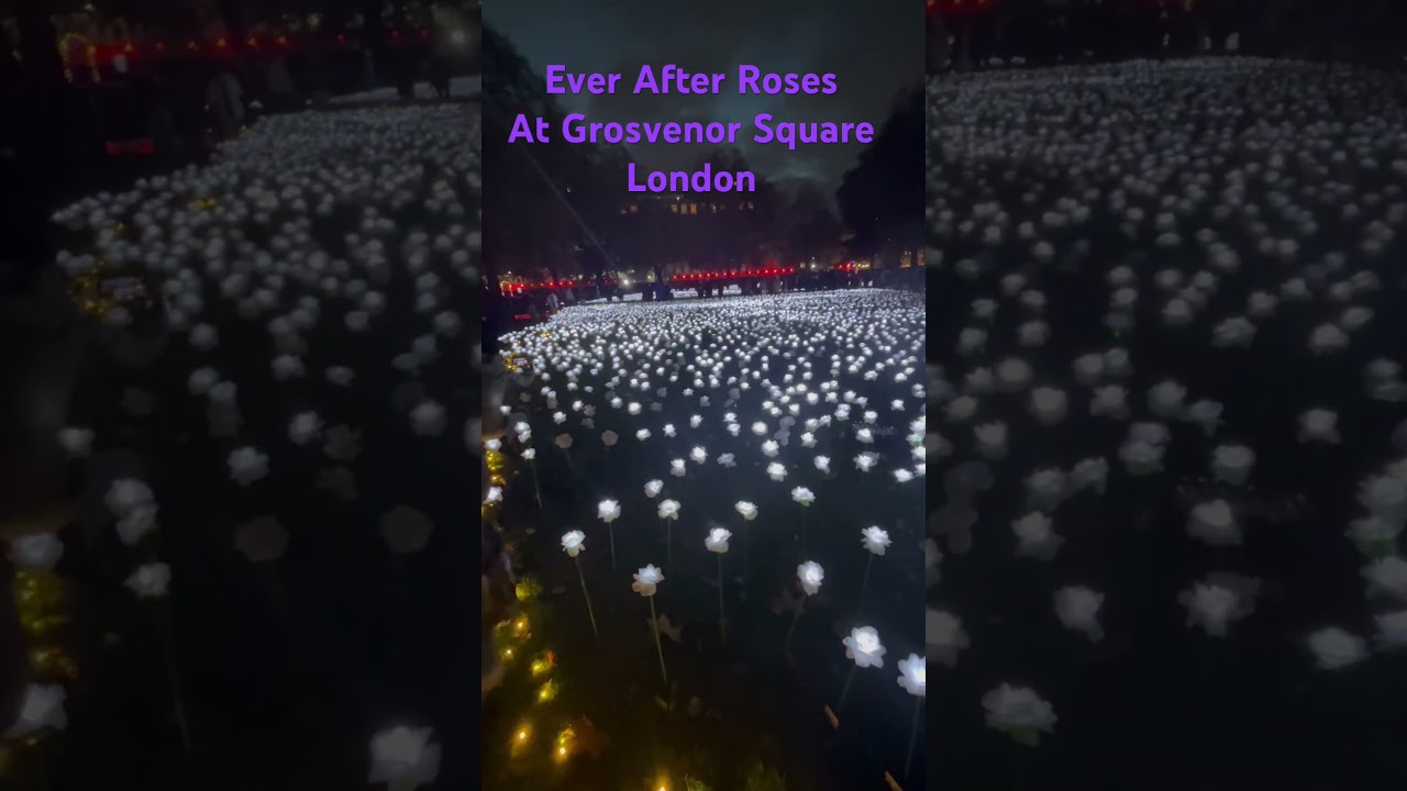 Ever After Garden - Royal Marsden Cancer Charity #everaftergarden #rosesforcancer #london