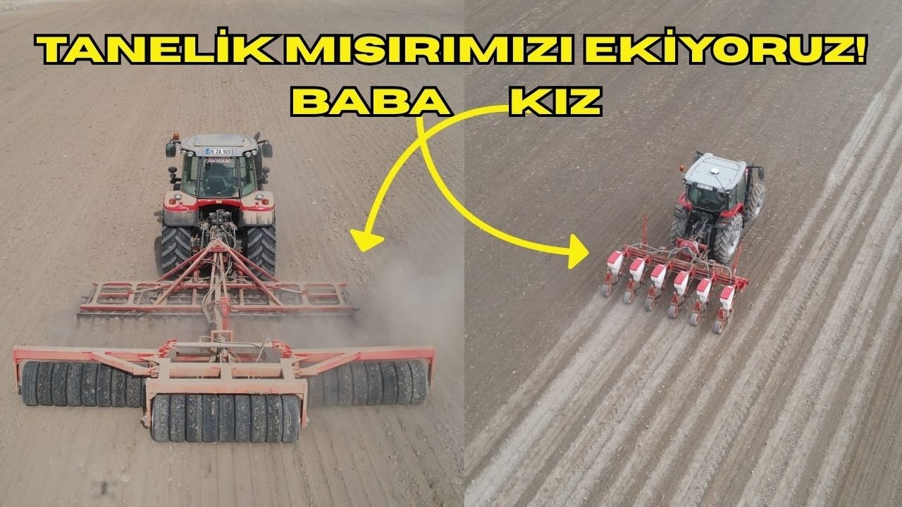 TANELİK MISIRIMIZI EKTİK SONRAAAA YAĞMUR YAĞDI ! 