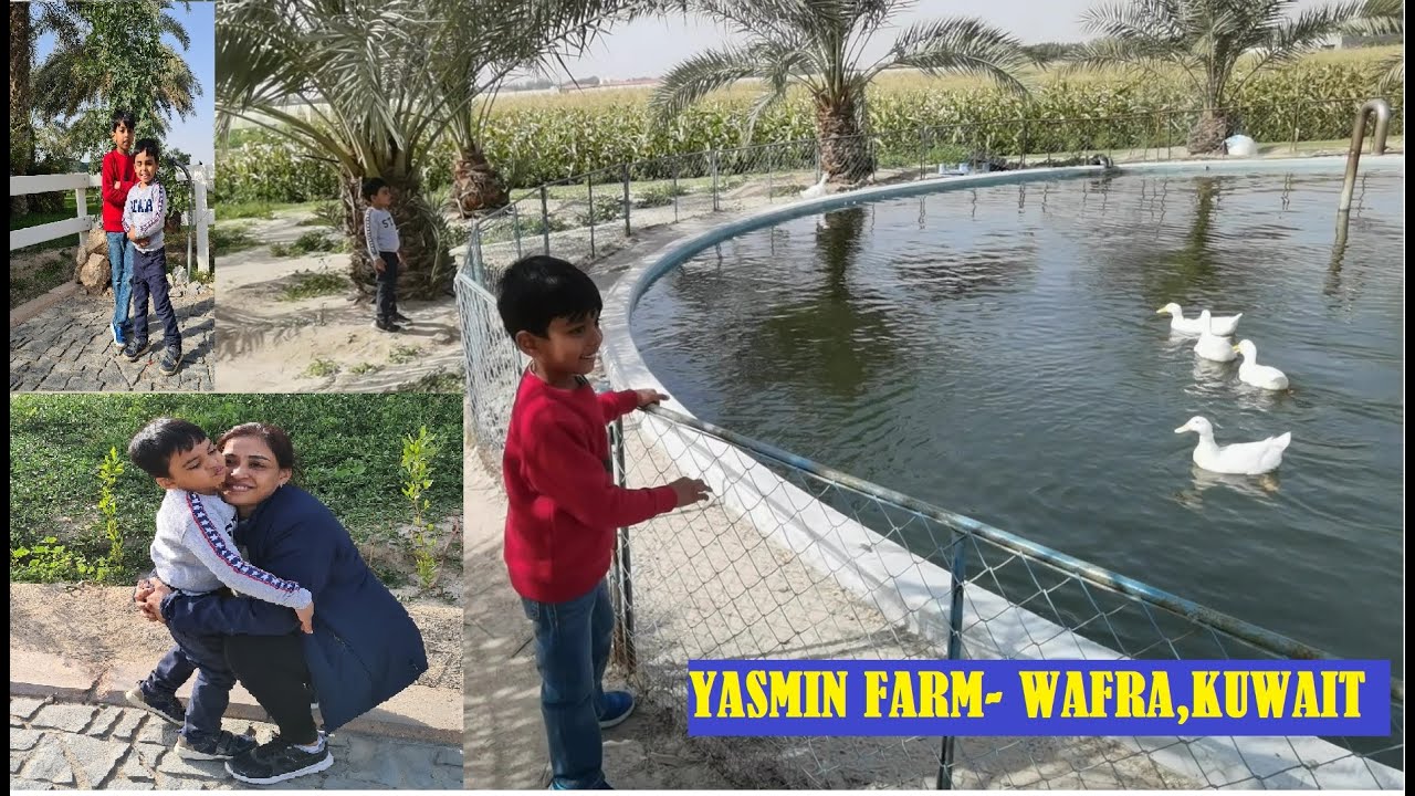 Yasmin Farm - One of the best farm to visit in Kuwait