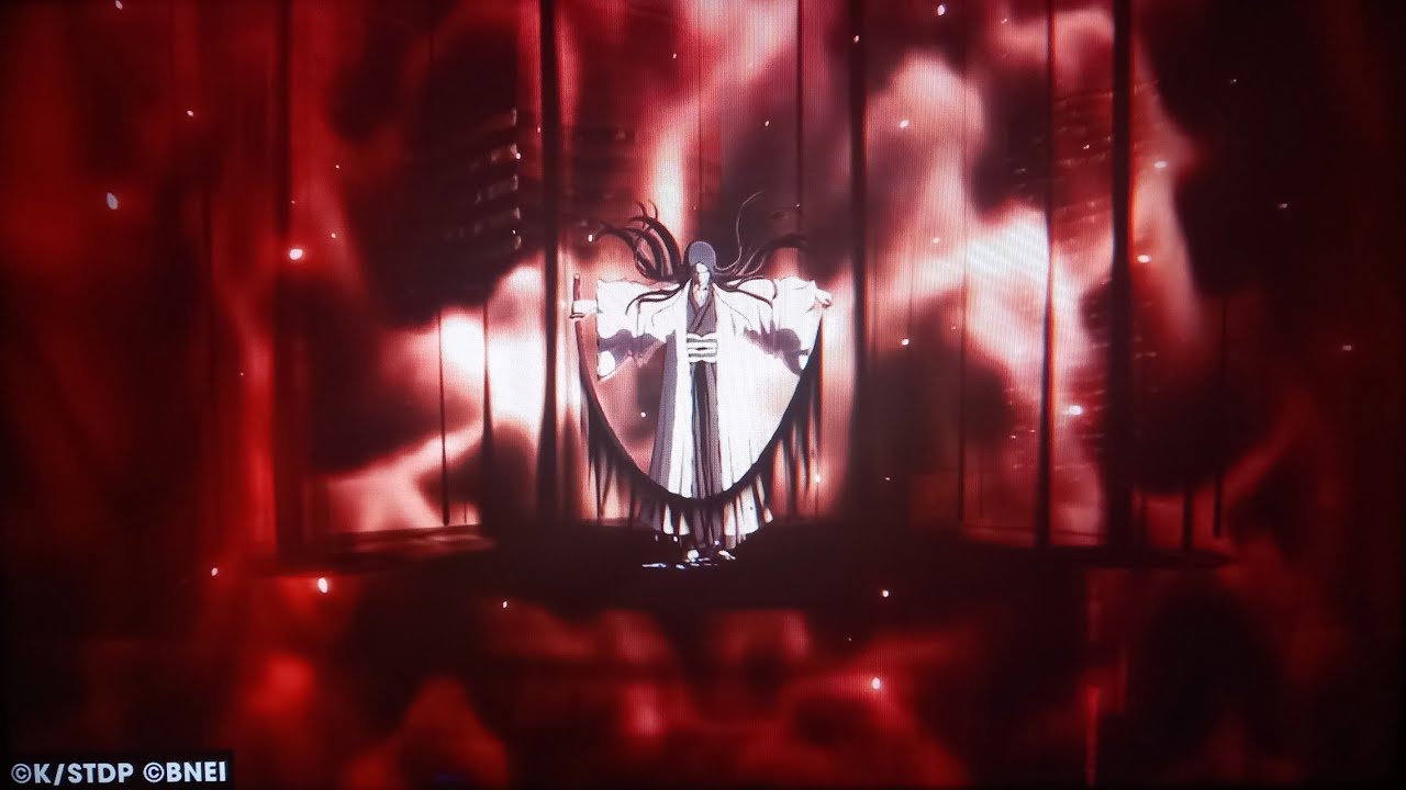Bleach rebirth of souls: Unohana retsu vs. Kurosaki ichigo,and bankai ichigo.