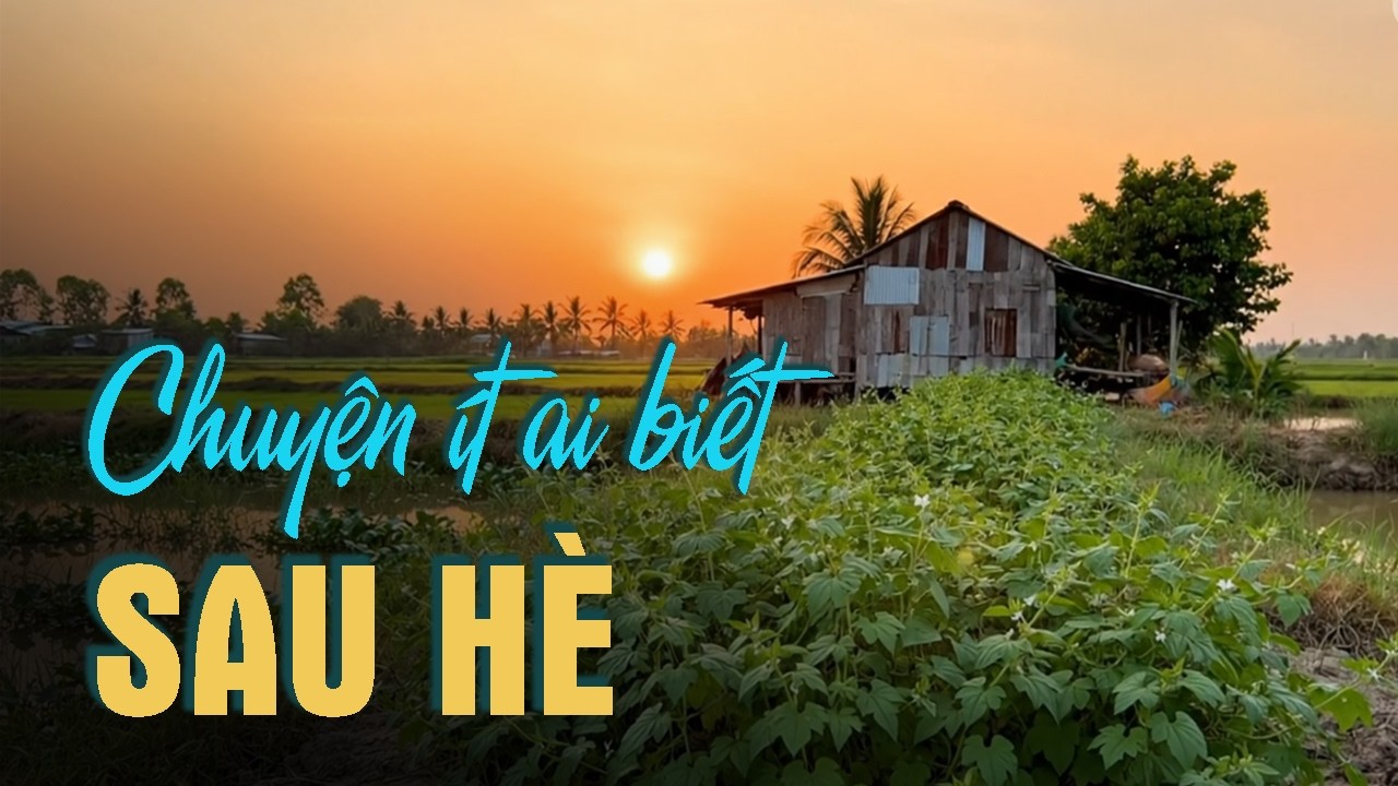Còn Thương Rau Đắng Mọc Sau Hè - Câu Chuyện Ít Người Biết