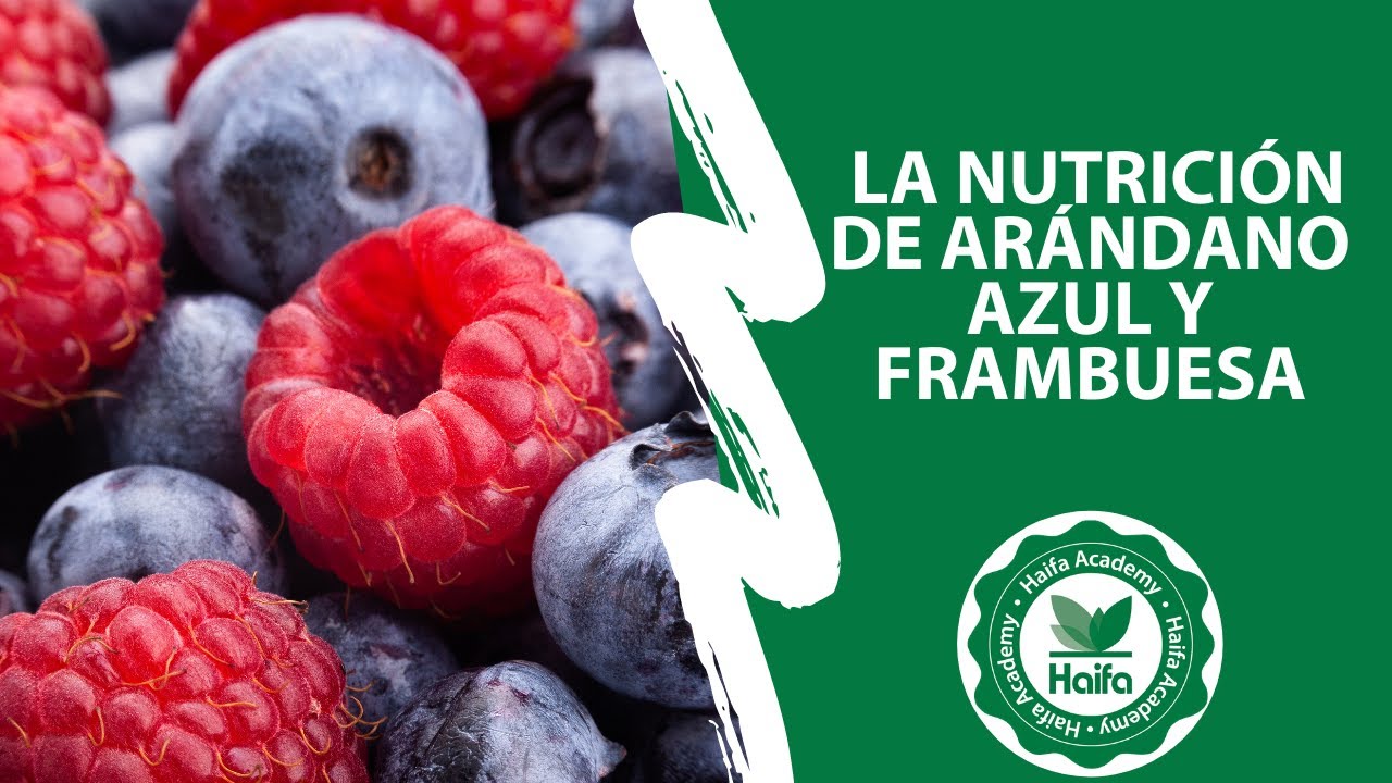 Consejos prácticos para la nutrición de Arándano azul y Frambuesa webinar | Haifa Group
