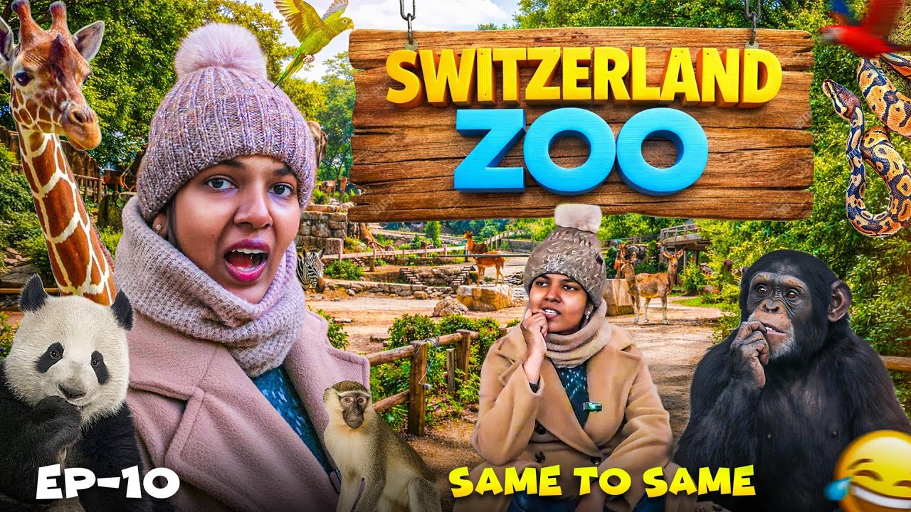 Switzerland Zoo Tour 🐼🦒 | Same To Same Animals 😅 | Switzerland Travel Vlog | Europe Series EP 10