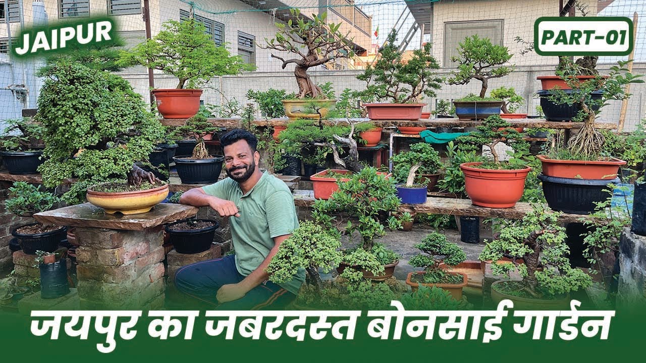 जयपुर का ज़बरदस्त बोनसाई गार्डन 😱🪴 Jaipur Bonsai Garden Tour 😲 Part-01