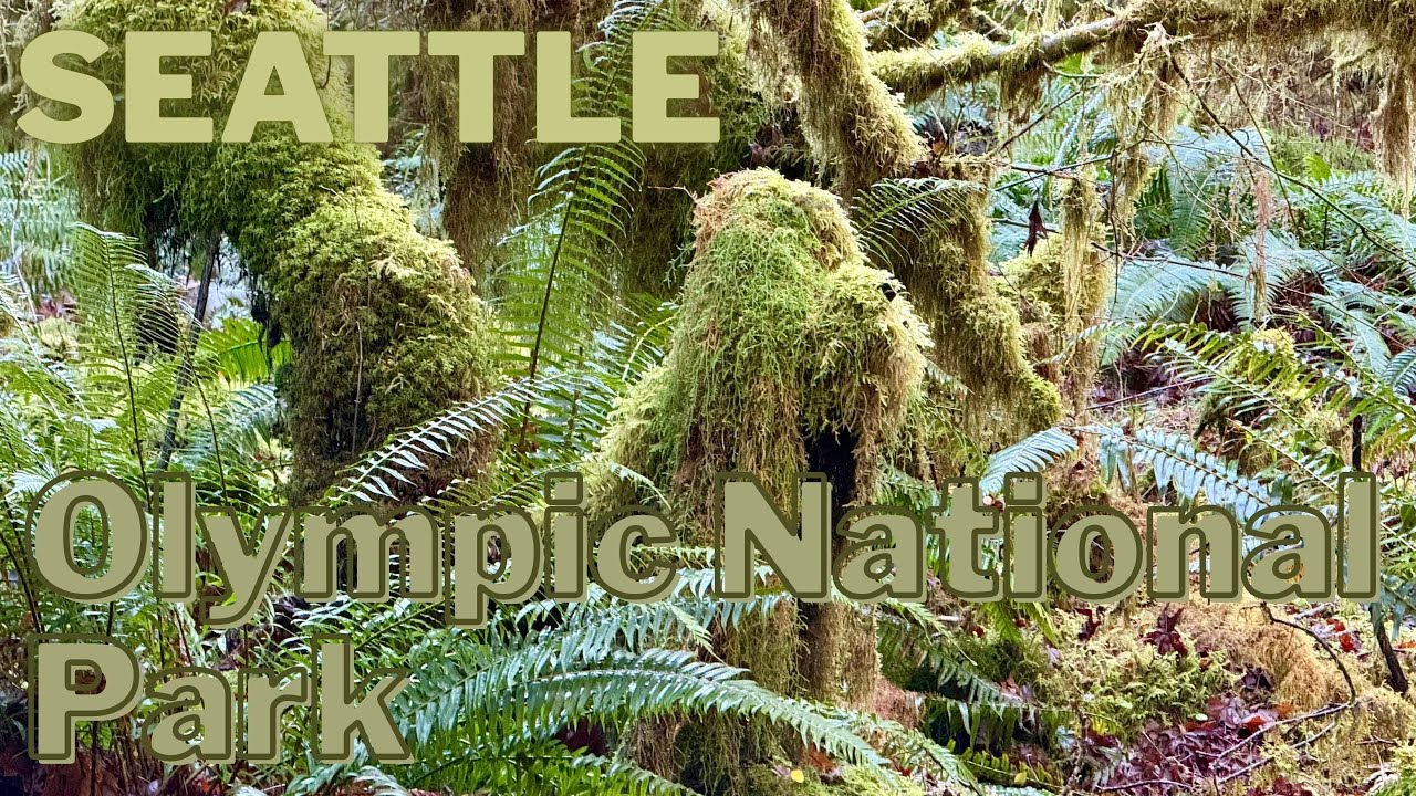 Rainforests, Mountains & Coast | Seattle & Olympic National Park Travel