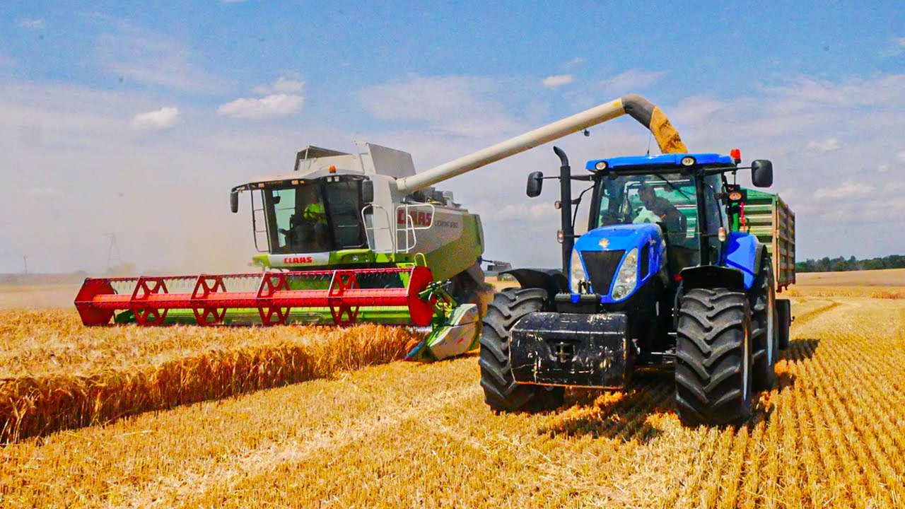 Żniwa 2022 ☆ Jęczmień Ozimy ☆ Claas Lexion 550 ☆ Claas Dominator 108 ☆ New Holland ☆ Case ☆