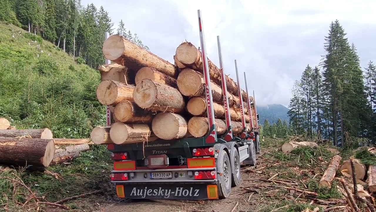 🌲 Starkholzernte mit 1270G ☆ MS 500i ☆ Akku-Fällkeil ☆ 🌲 2 : ?