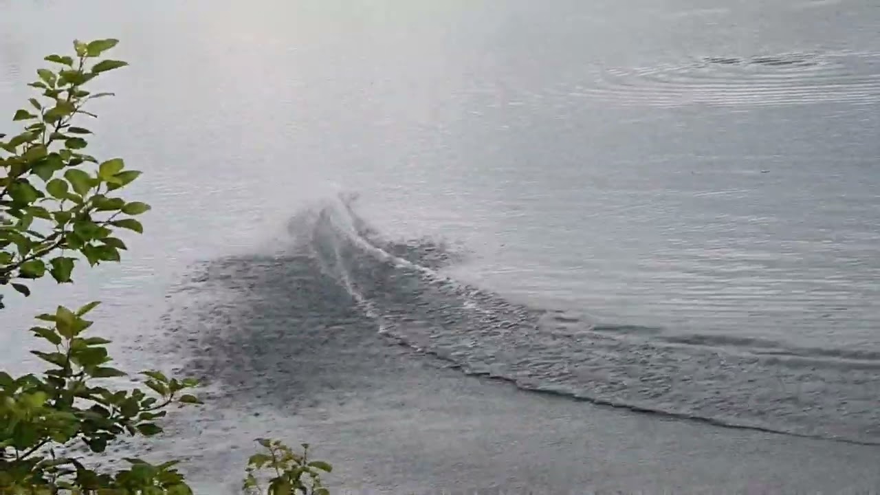 Graupner Hydrospeed_finales Setup_6s