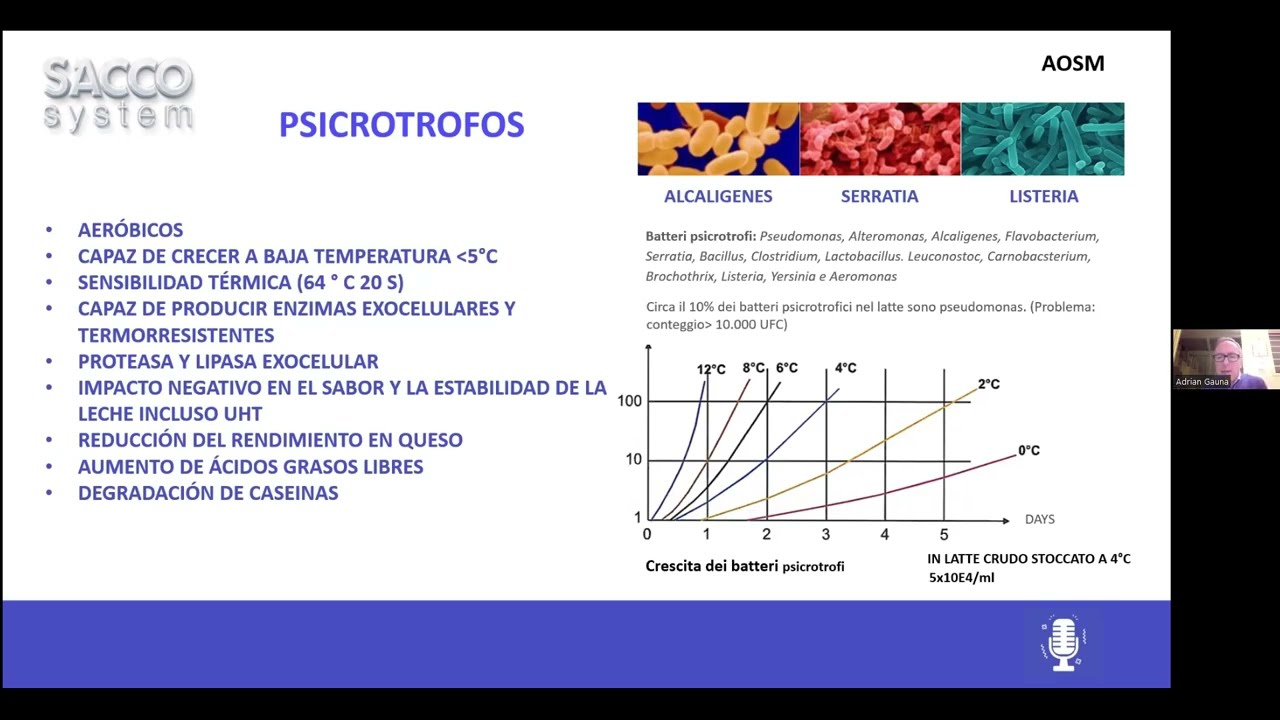 Protección natural de productos lácteos sin la adición de conservadores químicos