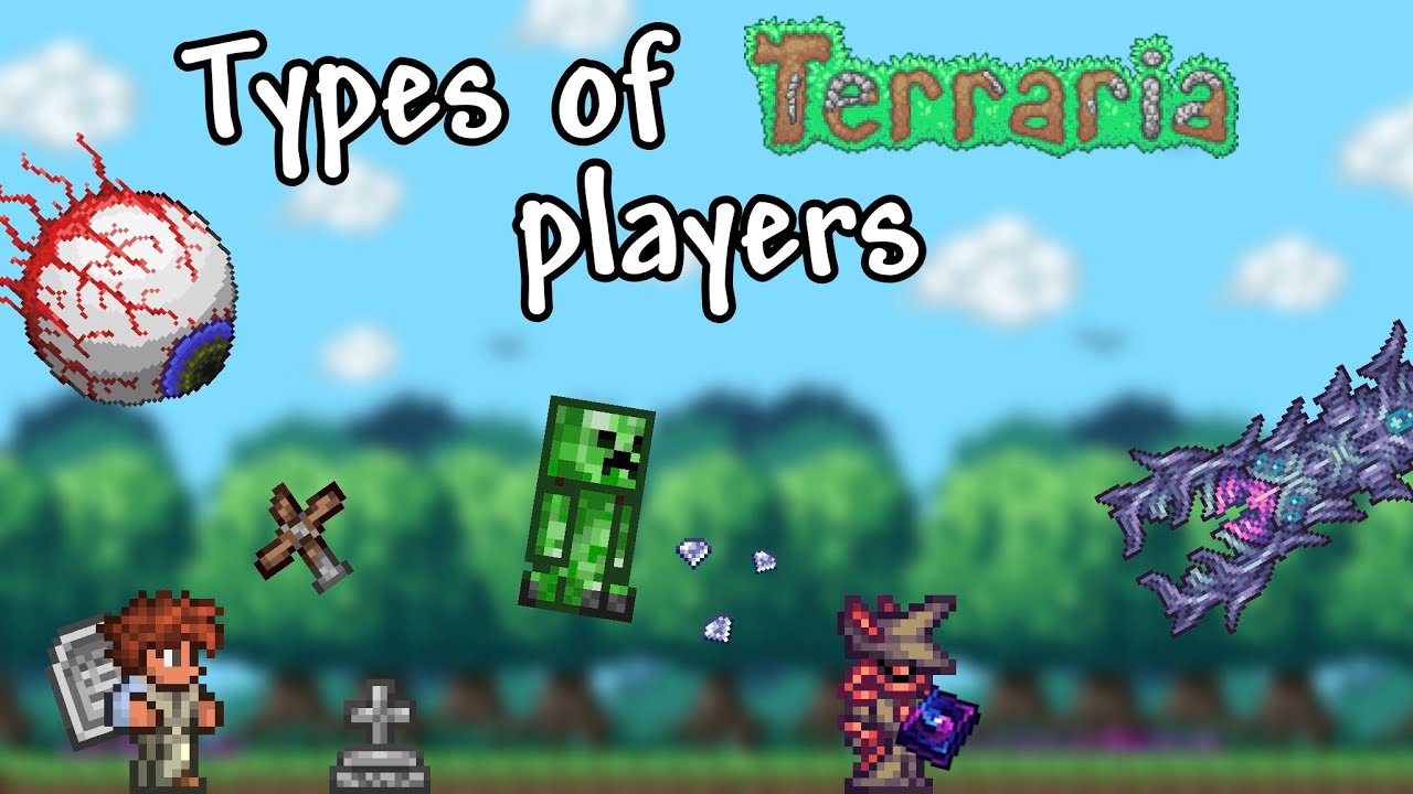 Types of terraria players