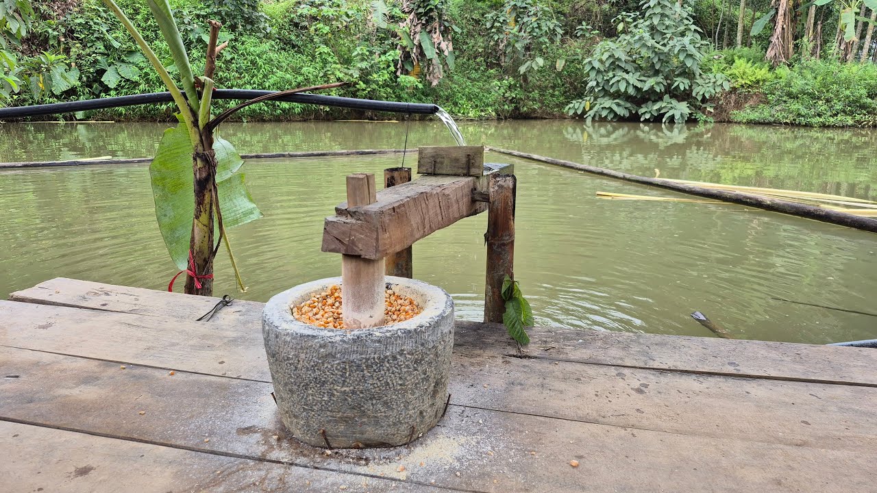 hoang phuc 2025 đang ph&aacute;t trực tiếp! live