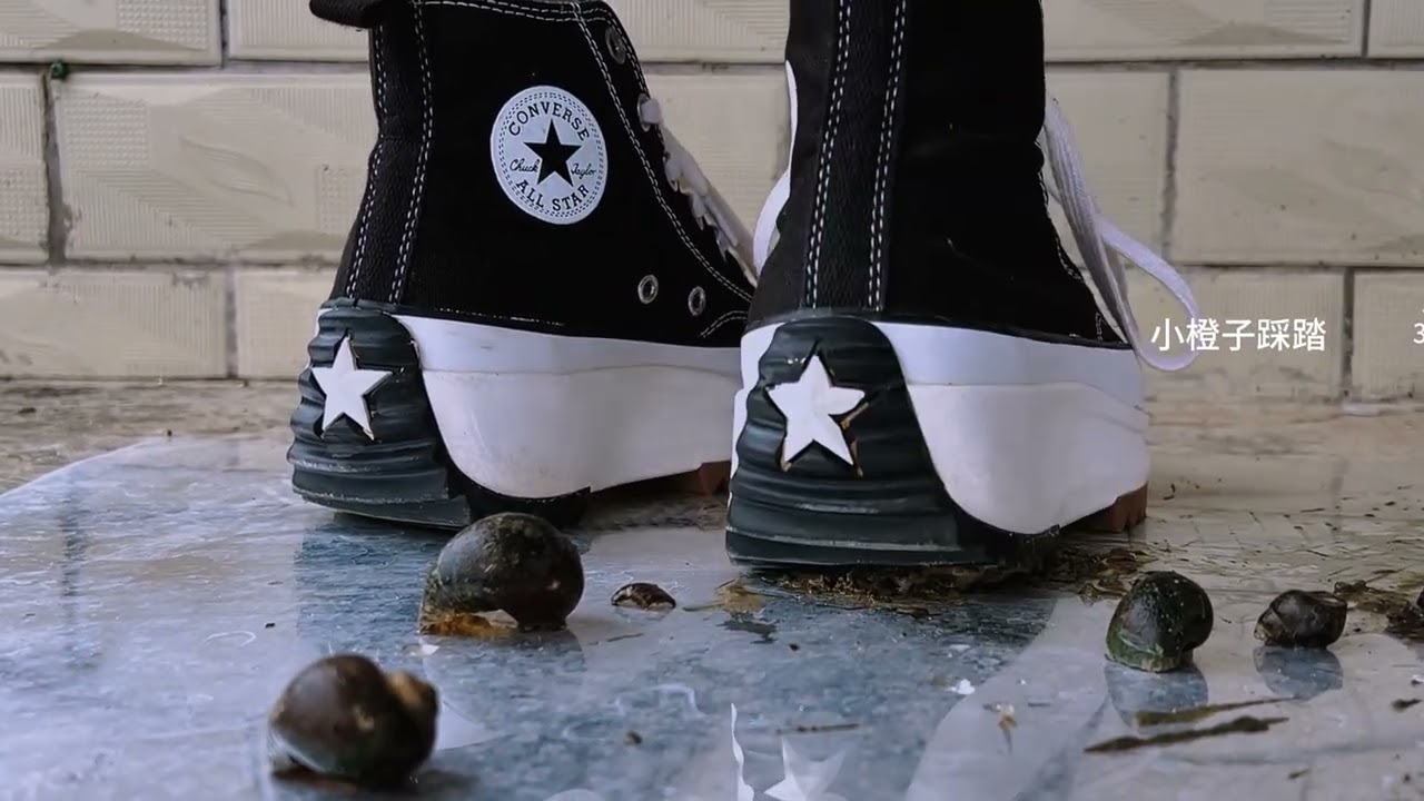 36期 Canvas shoes crushed the apple snail