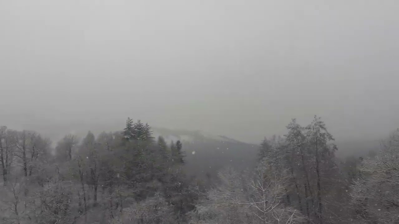 video log 19/01/26 - 13.00