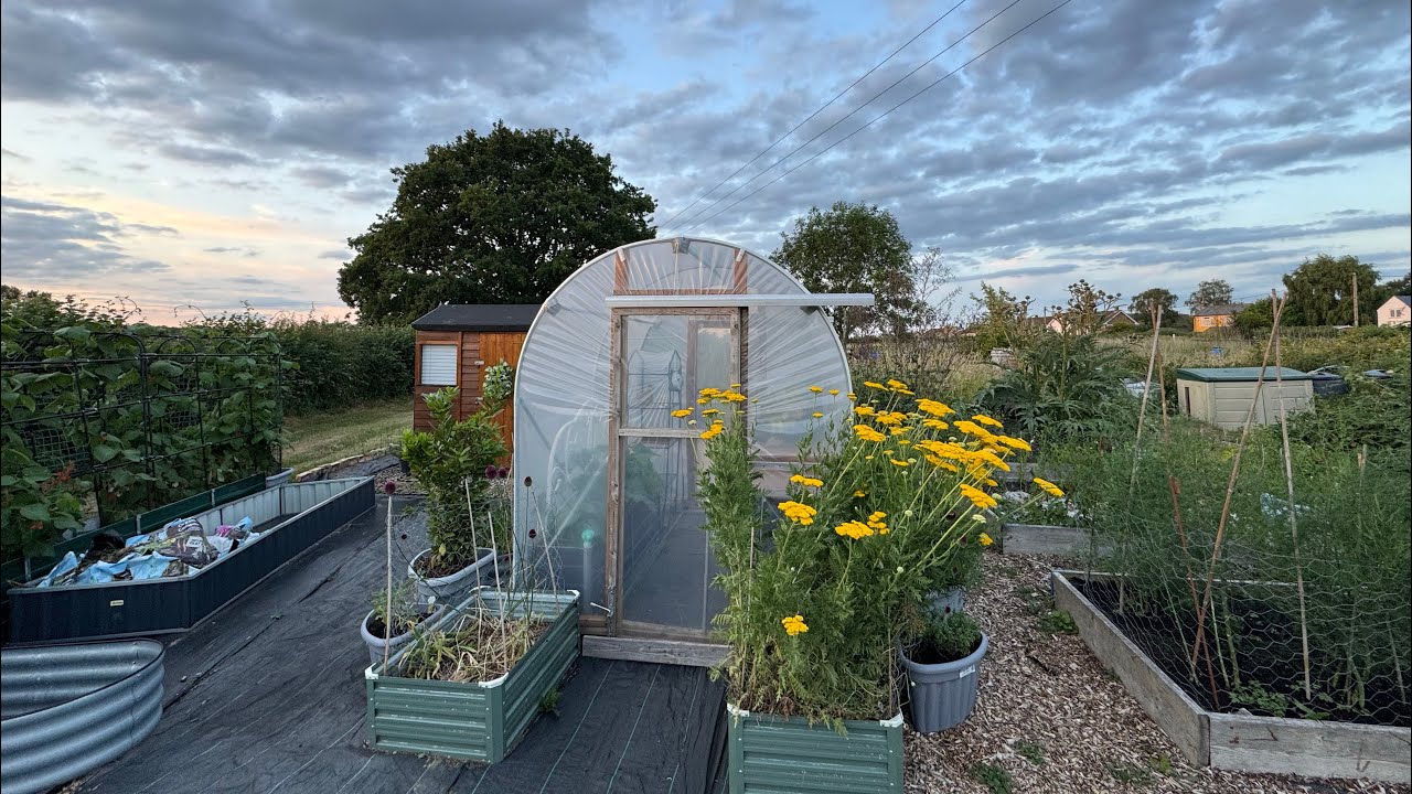 EP 64: Gardening On A Budget! Plot no.9