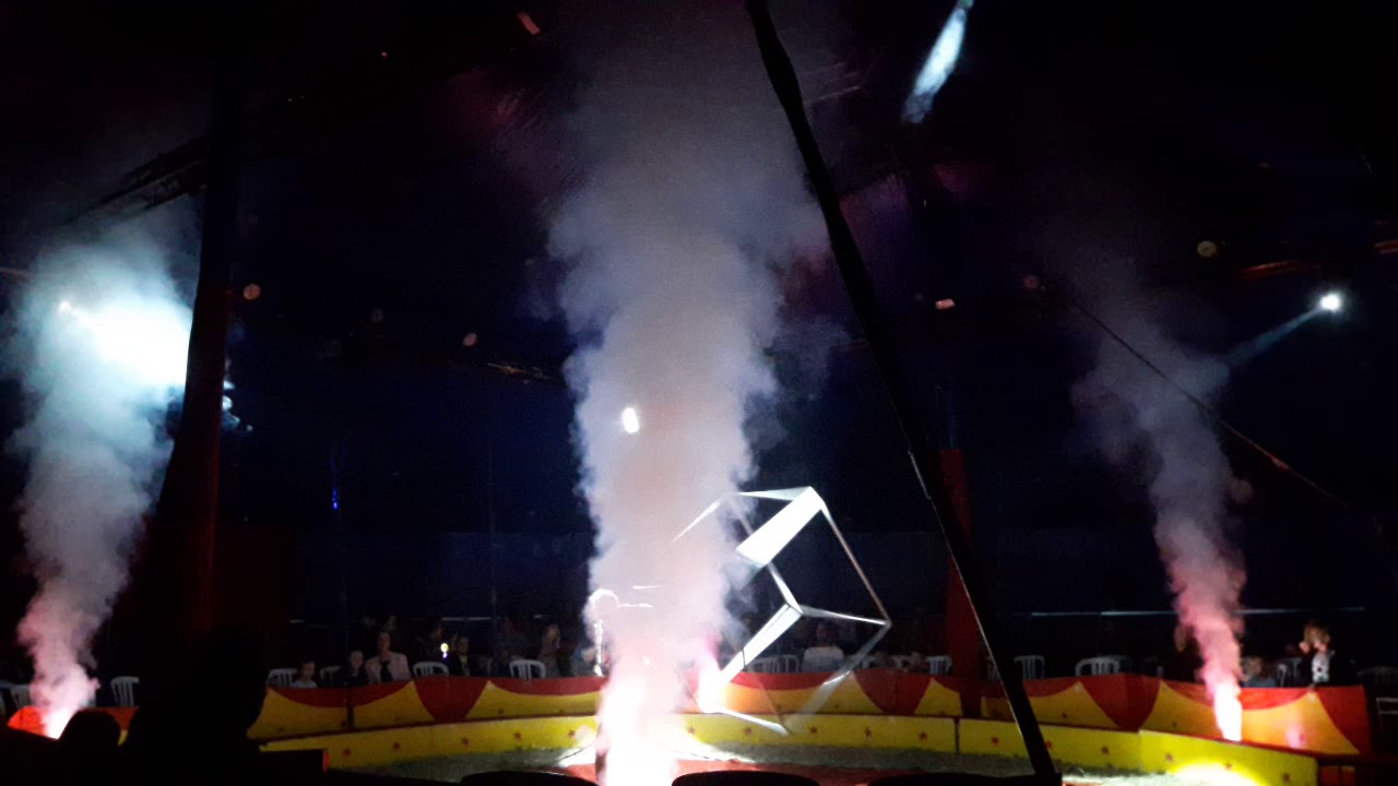Circus Bossle