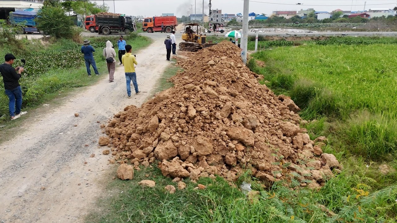 Great New Start! Land Filling Action Bulldozer and Dump Trucks Working in Perfect Coordination