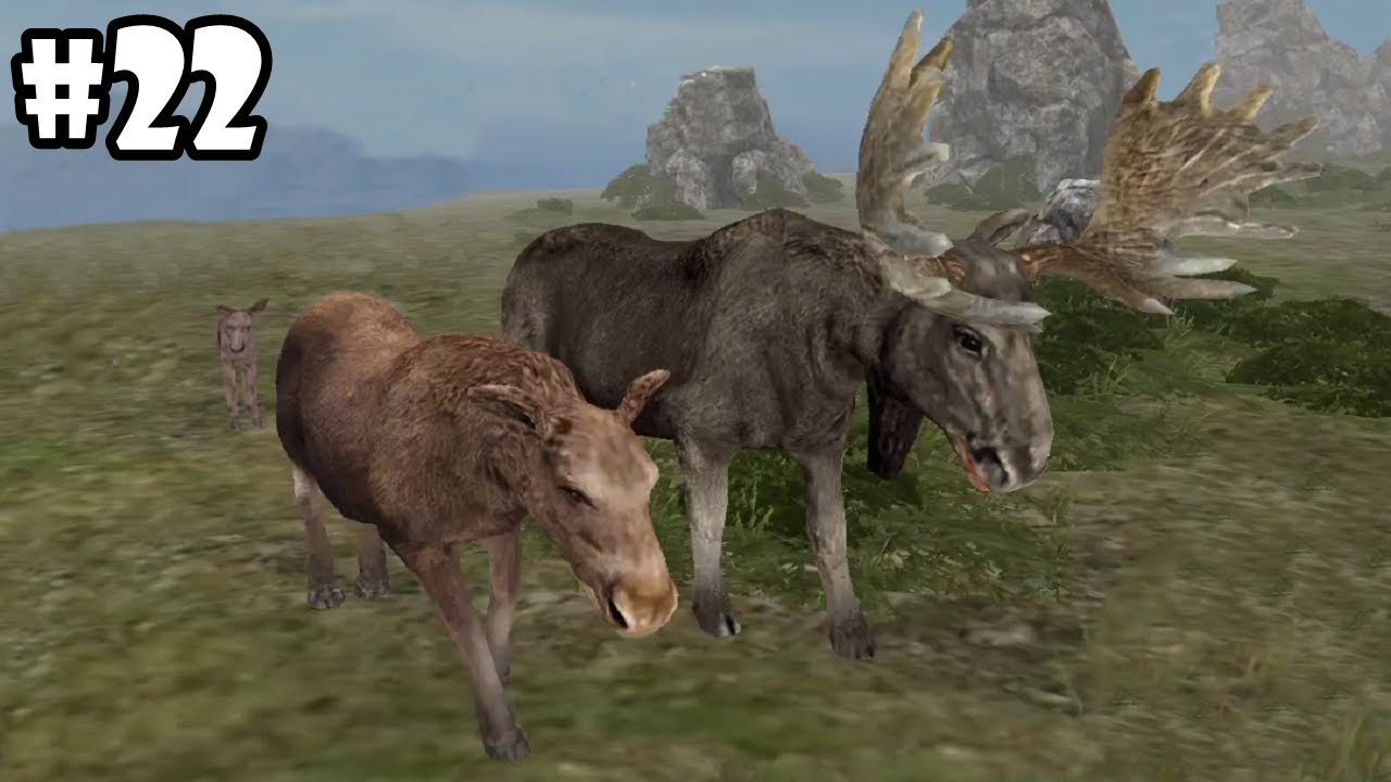 Wild Animals Online - Group of Moose - Android/iOS - Gameplay Episode 22