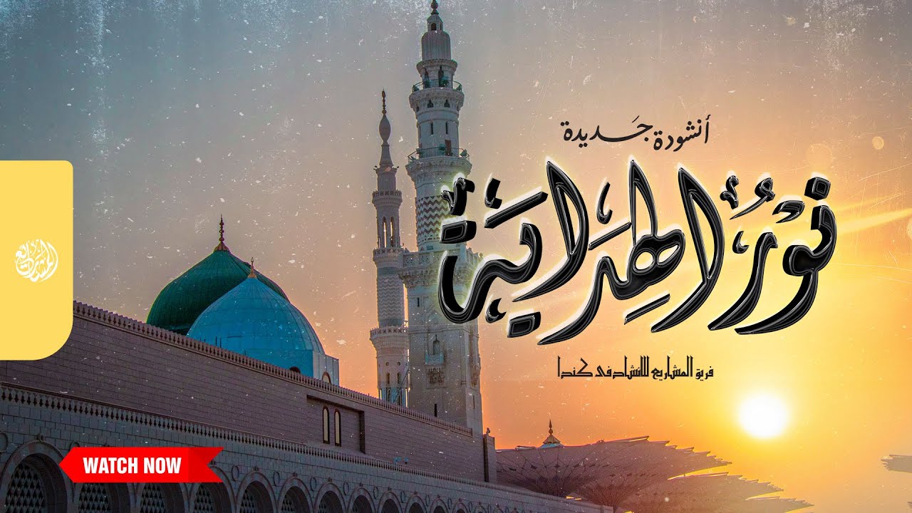 أنشودة مؤثرة جدًا | نور الهداية