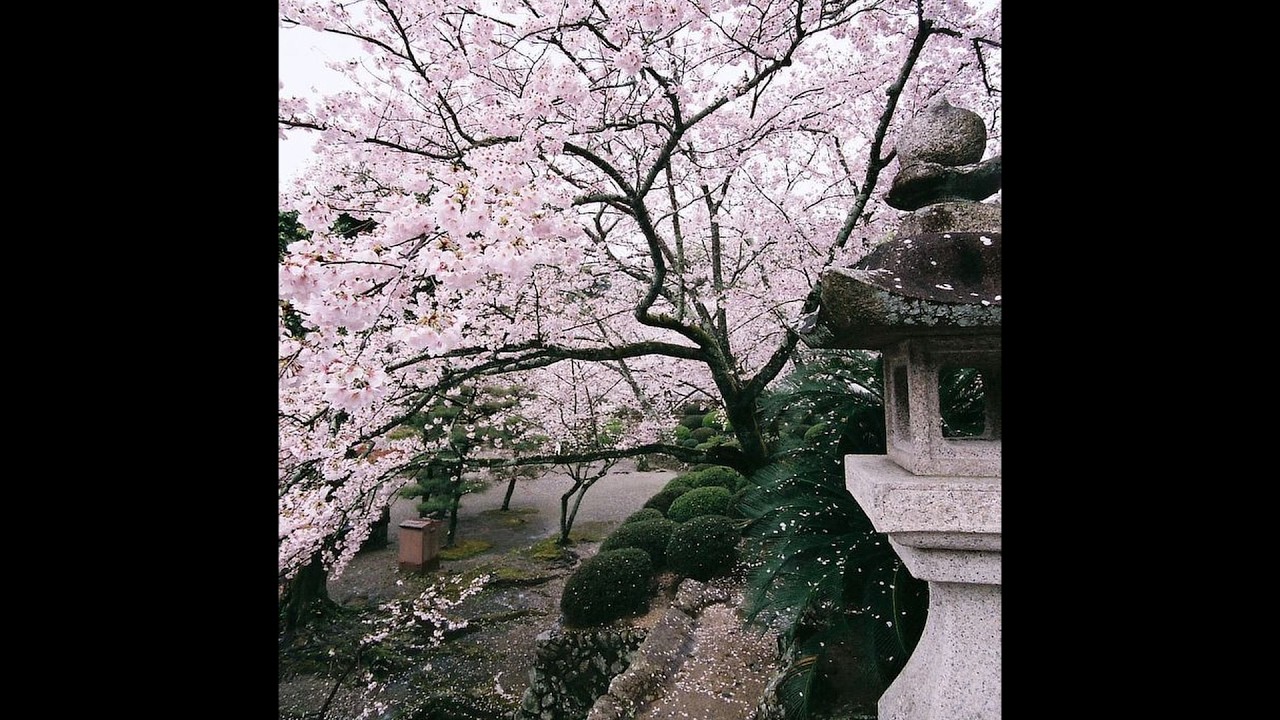 (FREE) ASIAN SAMPLE TRAP TYPE BEAT - JAPAN