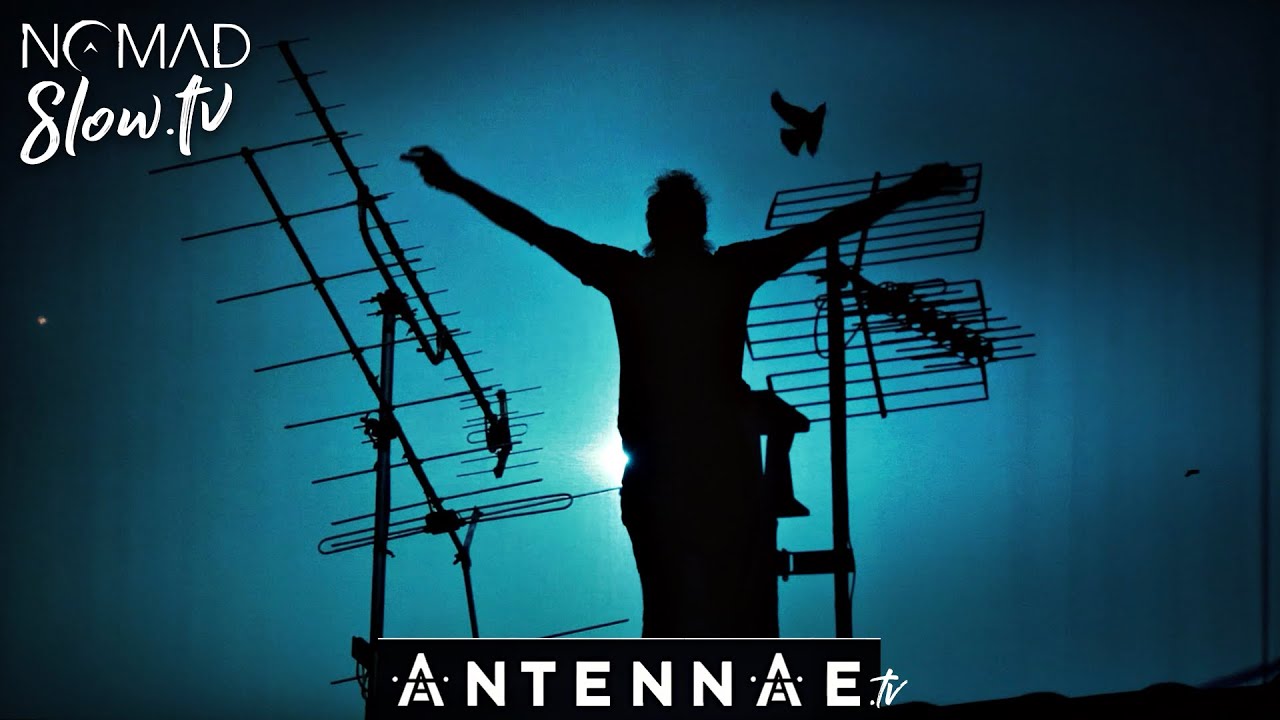 Hunter Moon ANTENNAE - The Hunt Within | NOMADslow.tv