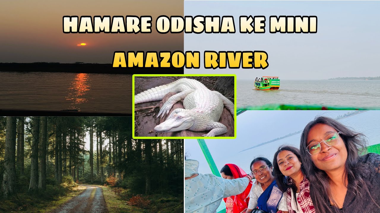 India’s 2nd Largest Mangrove (Bhitarkanika)🐊||Odisha MiniAmazon River||@SilentPIHU-u9o 