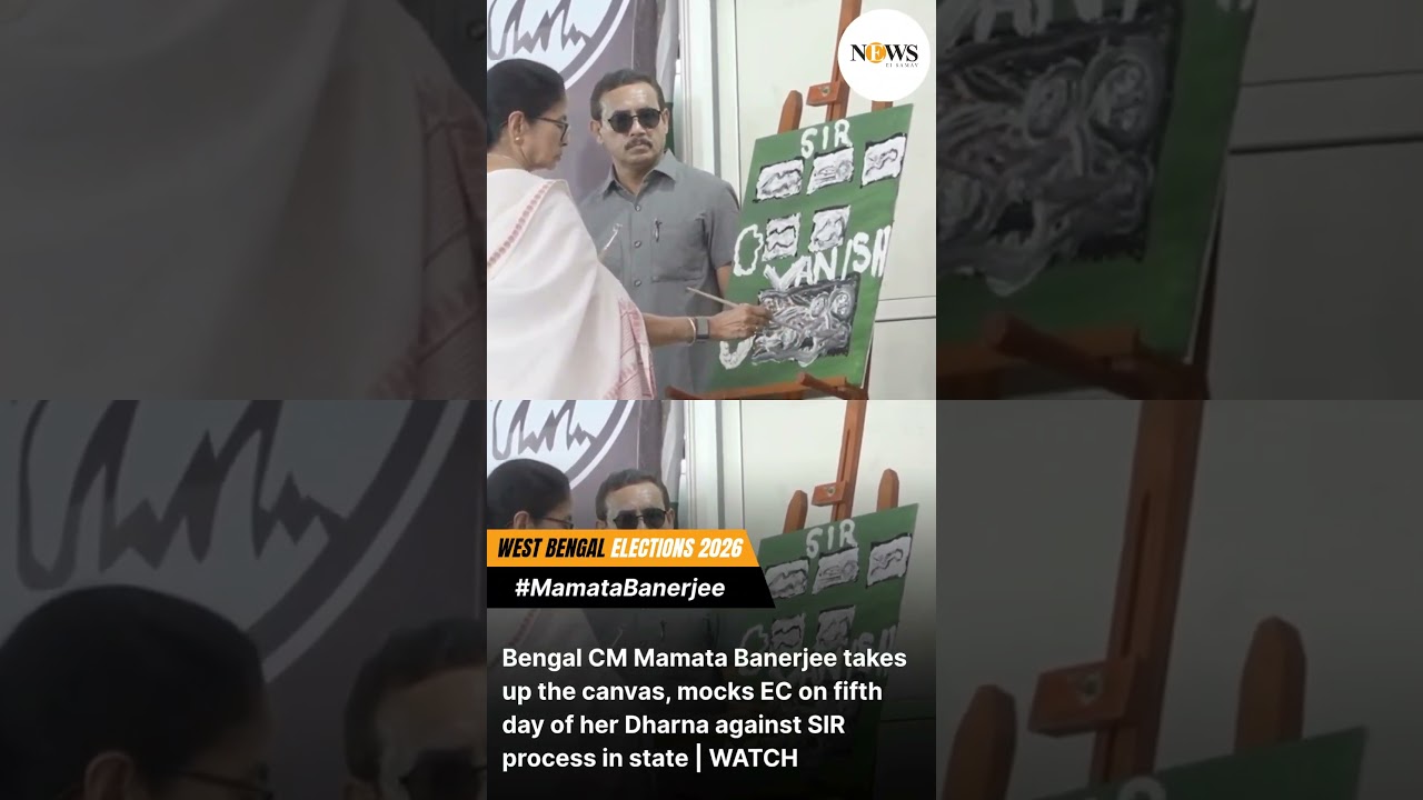 Mamata Banerjee paints on canvas, mocks EC on day 5 of SIR dharna