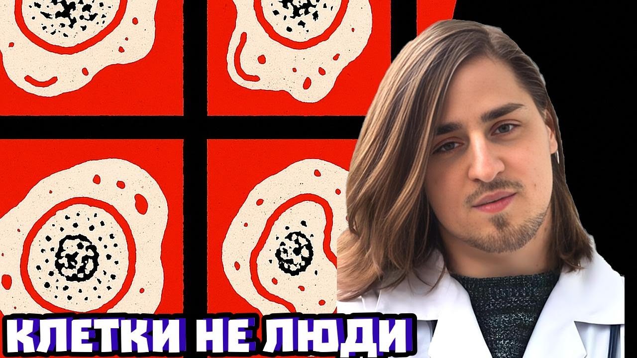 Инвитро ≠ работает у людей: пирамидa доказательности + Lada/ | Владимир Алипов