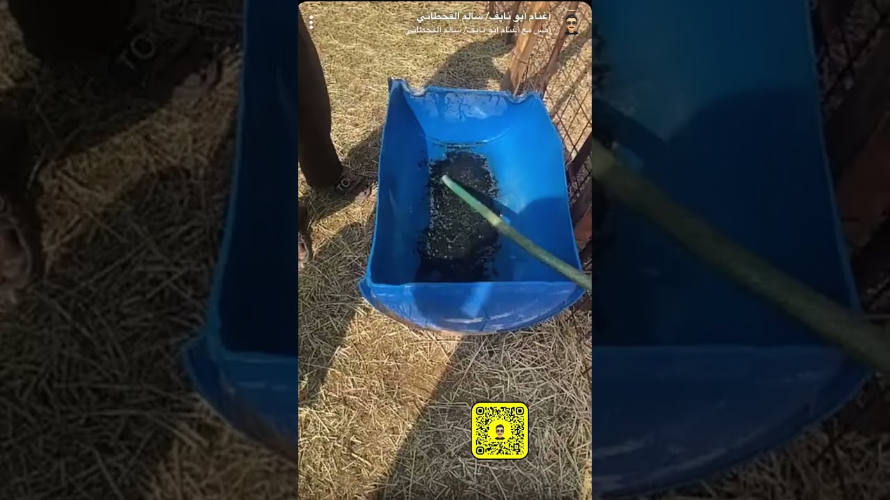 ماهو دور مربي الاغنام والهدف الرئيسي من تربية الغنم؟ ،لماذا البعض منهم لا ينجح معه علاج الأمراض ؟