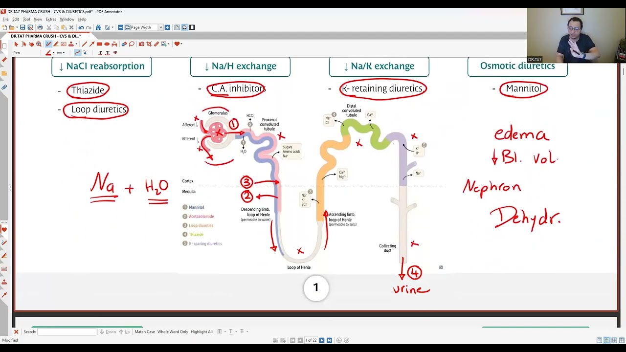 DR TA7: DIURETICS REVISION (MED SCHOOL NOT USMLE)