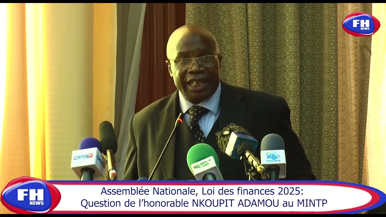 Assembl&eacute;e Nationale Loi des finances 2025: Question de l'hon NKOUPIT Adamou au MINTP