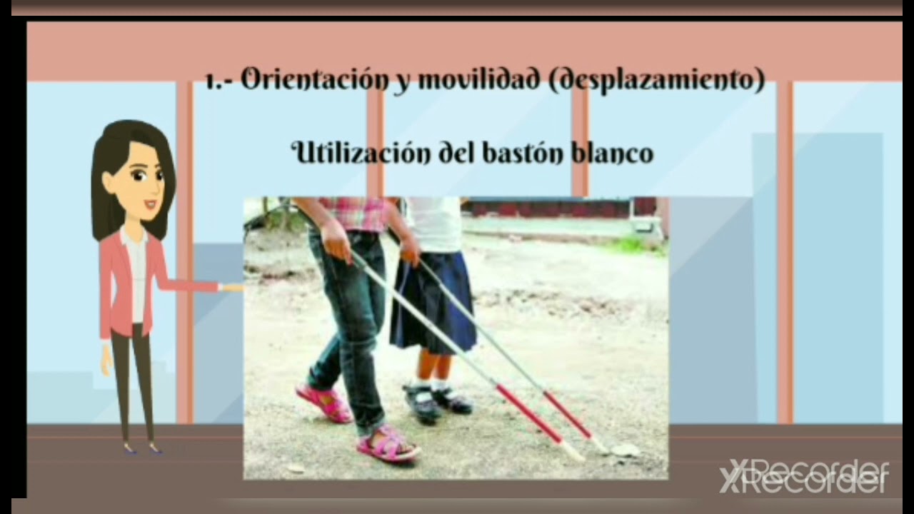 Discapacidad visual en México