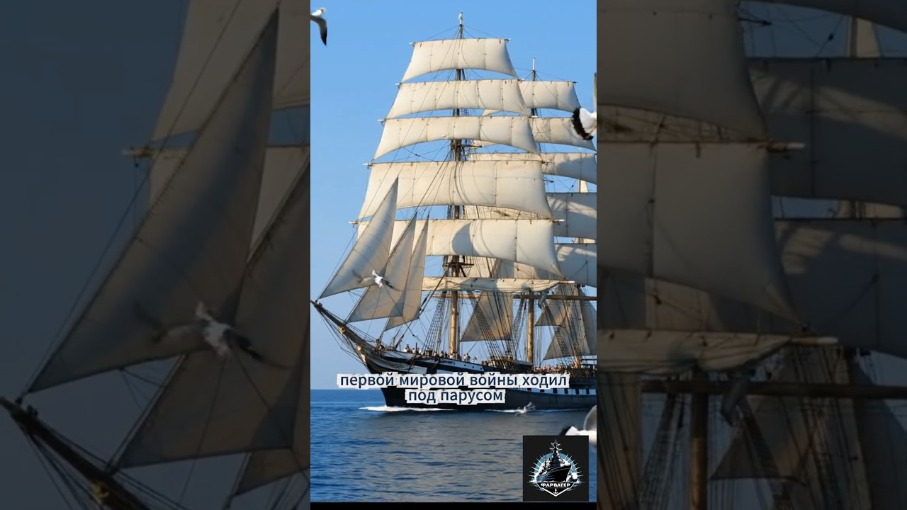 Как парусник воевал с броненосцами: SMS Seeadler | Фарватер #history #корабли #флот