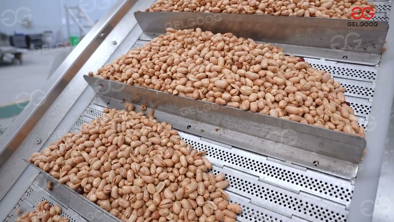Fried Peanut Production Line Groundnut Frying Machine Price