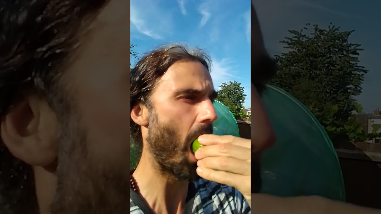 Growing figs in UK