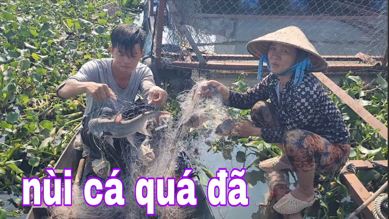Bất Ngờ Khi Kéo Khúc Lưới Lên Trúng Cá Ai Cũng Cười Tươi Như Hoa # SĂN BẮT ĐỒNG THÁP #