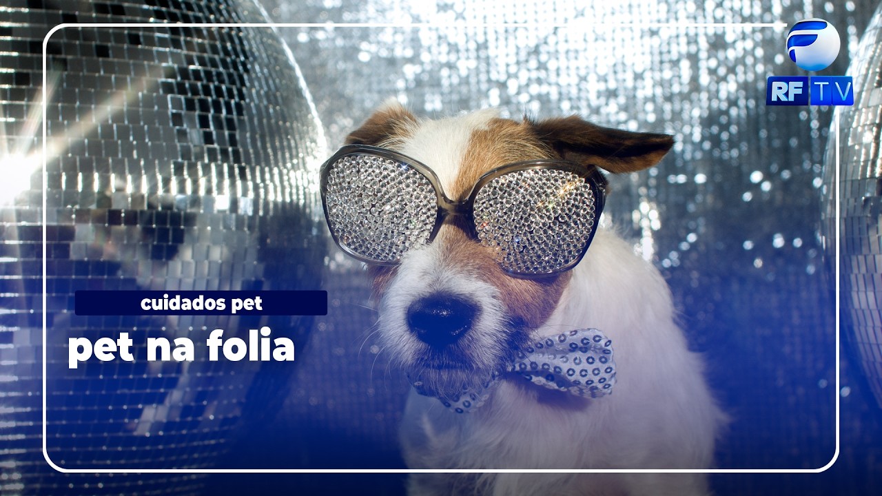 Especialista dá dicas de cuidados com os pets no carnaval