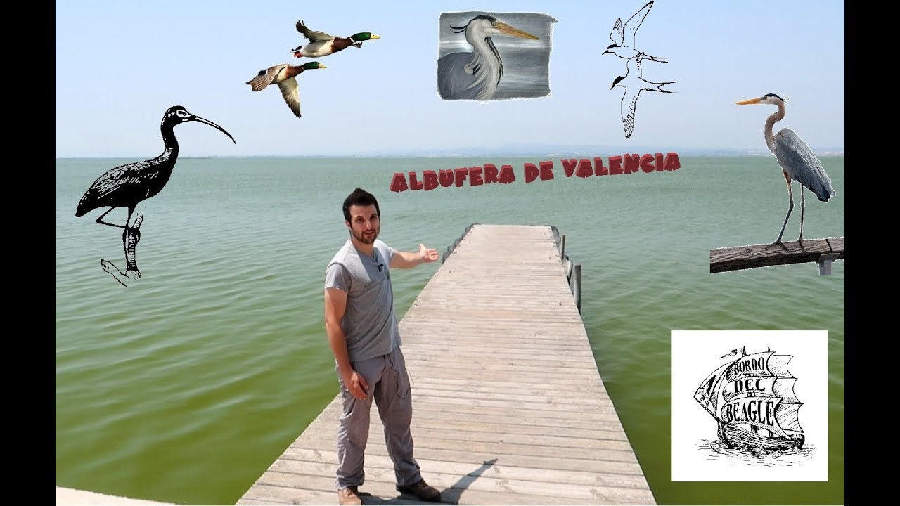 Albufera de Valencia. Un paraiso cercano