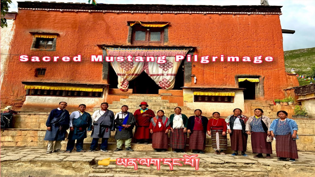 Holy Mustang Nekor // Part I //