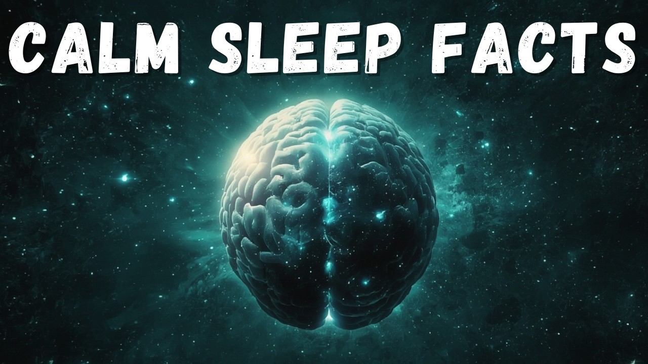 Calm Sleep Facts for Deep Sleep (1.5 Hour Relaxing Documentary)