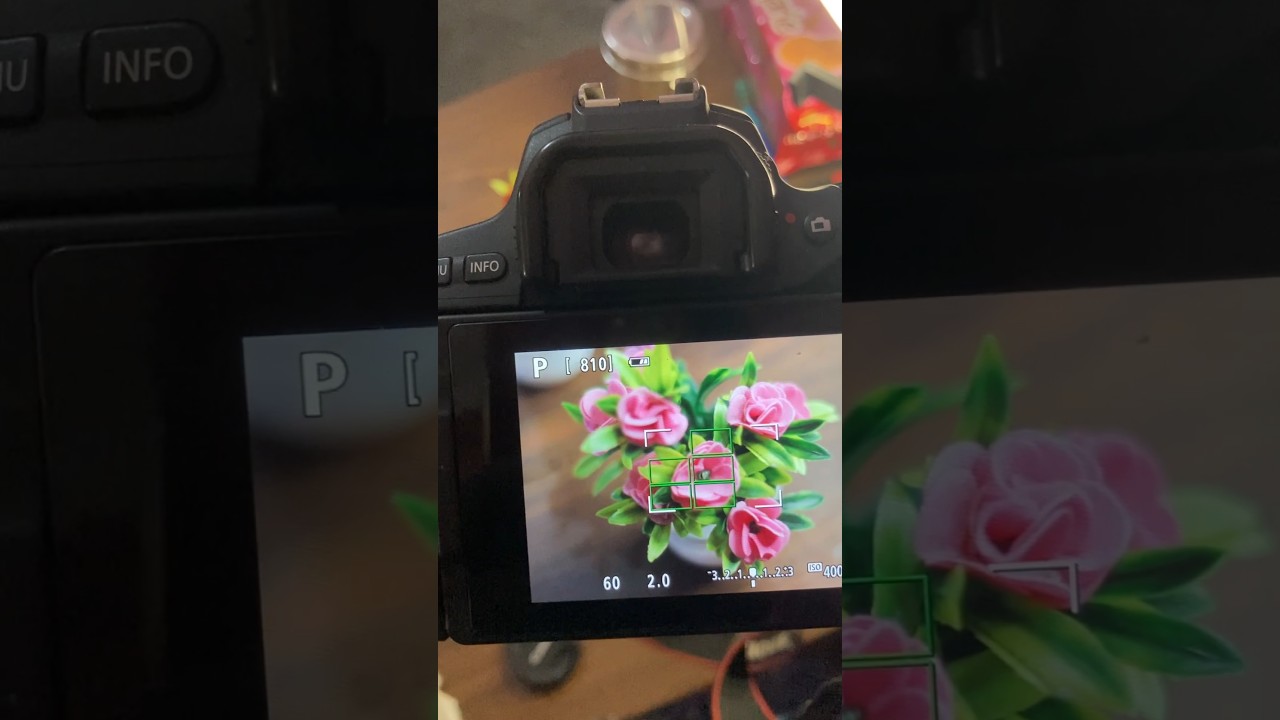 Canon 3000D photography test | canon dslr camera review