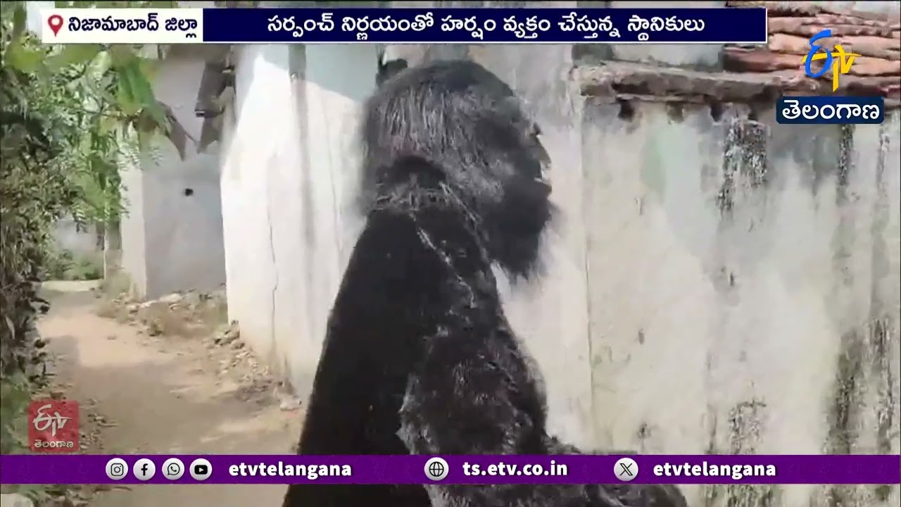 Village Sarpanch’s Unique Idea to Stop Monkey Menace at Devanagar, Nizamabad Dist