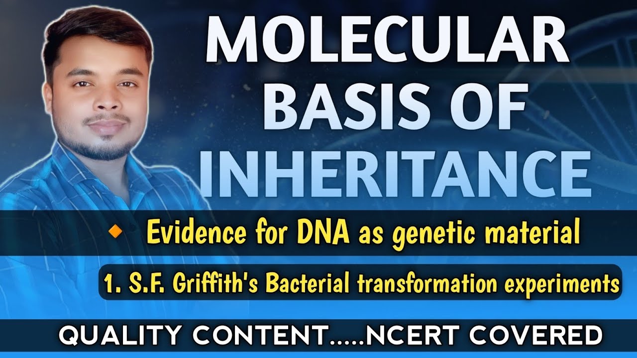 Griffith experiment | Molecular Basis of inheritance biology class 12 #neet #cbse #iitjam 