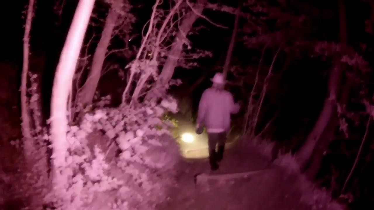 In to the woods - Ghost Hunt