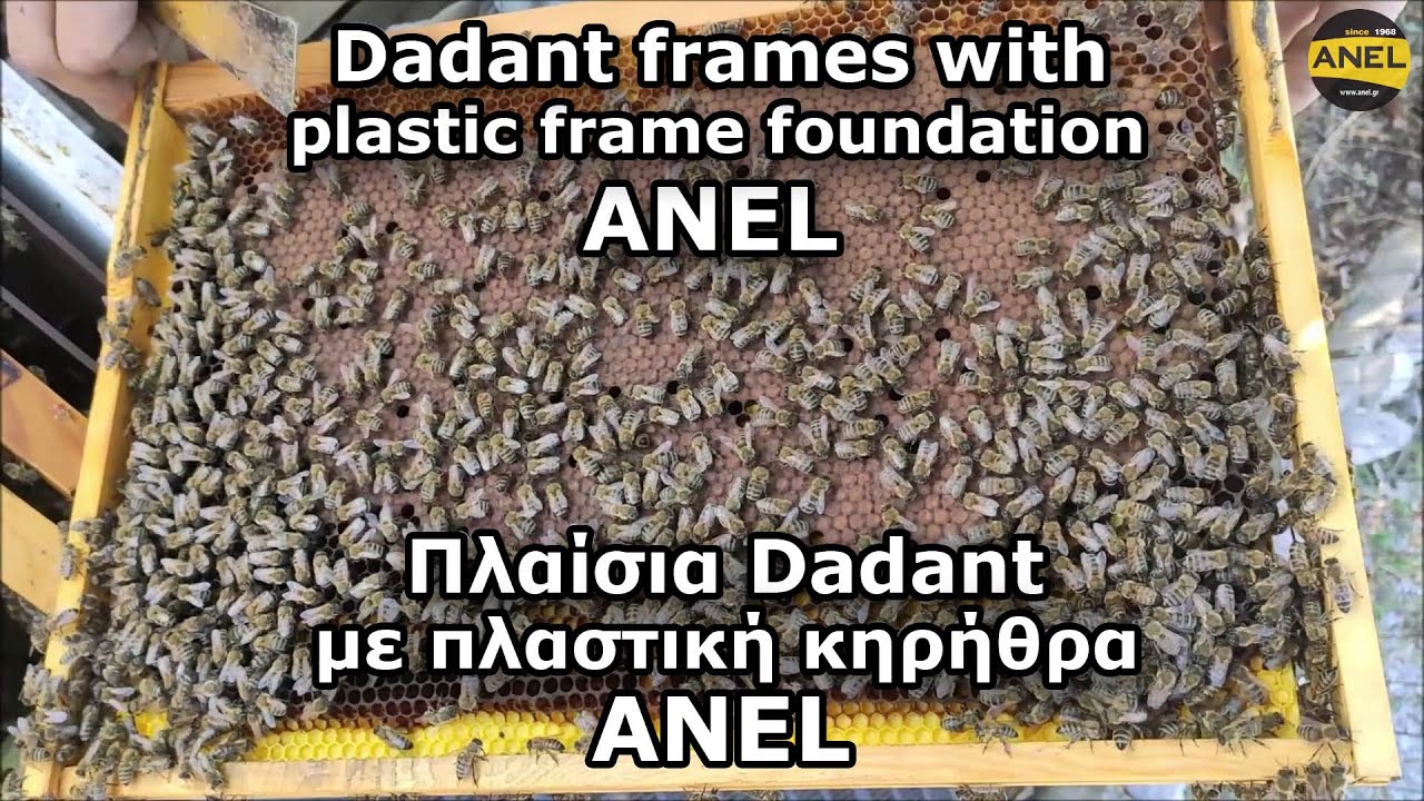 &Pi;&lambda;&alpha;ί&sigma;&iota;&alpha; Dadant &mu;&epsilon; &pi;&lambda;&alpha;&sigma;&tau;&iota;&kappa;ή &kappa;&eta;&rho;ή&theta;&rho;&alpha; ANEL