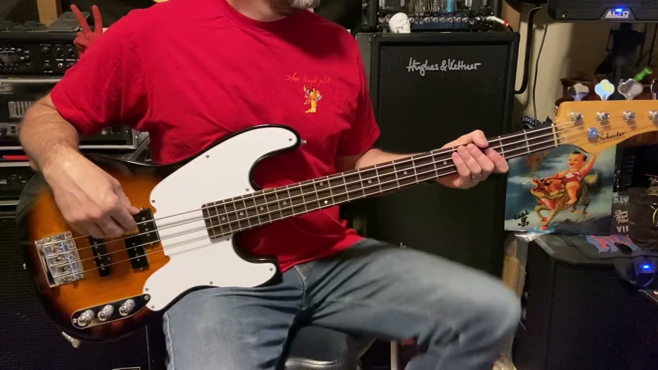 Unglued [STP] Bass Cover