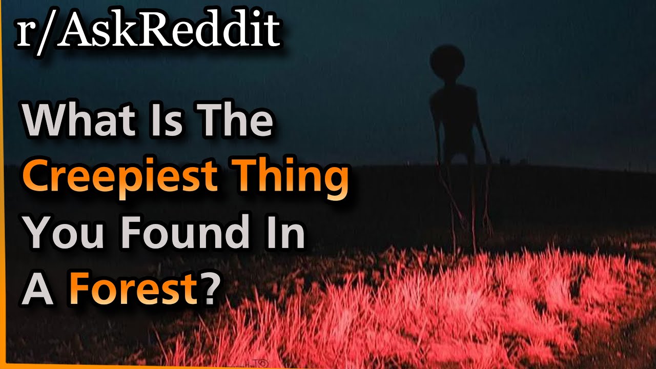 [Серьёзно] Какую самую жуткую вещь вы нашли в лесу? | Askreddit