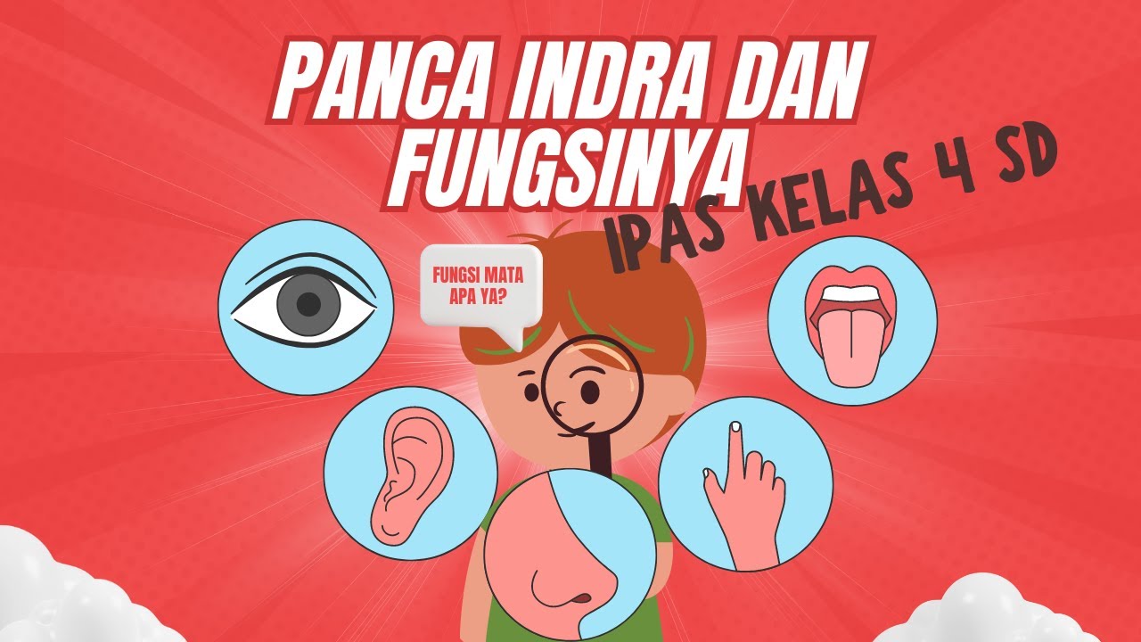Panca Indra dan Fungsinya (IPAS Kelas 4) Kurikulum Merdeka
